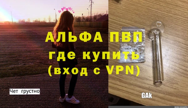 стаф Осинники