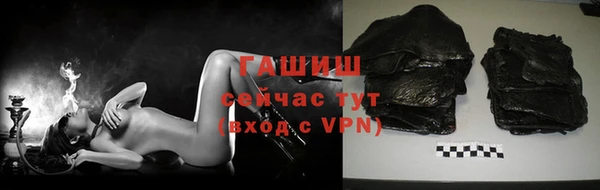 стаф Осинники