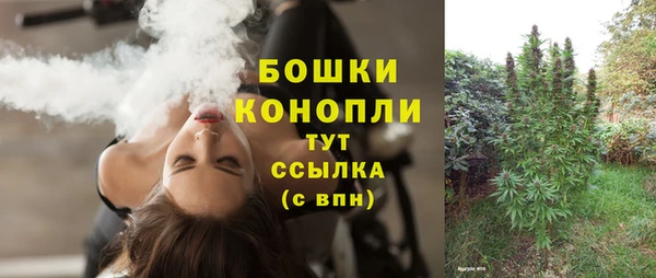 стаф Осинники