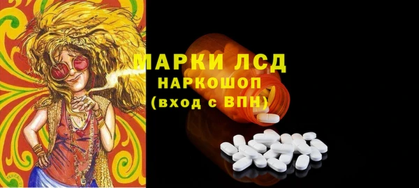 стаф Осинники