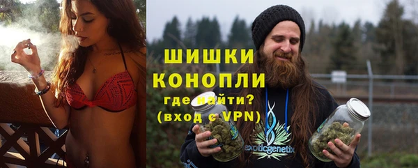 стаф Осинники