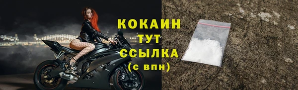 стаф Осинники
